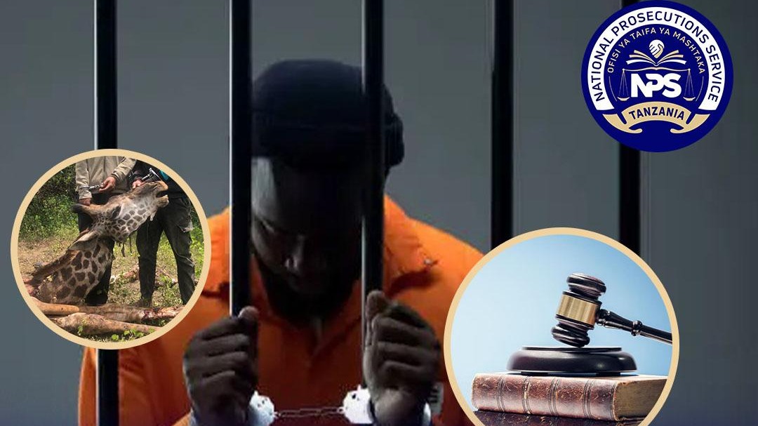 MIAKA 20 JELA KWA KOSA LA KUPATIKANA NA NYARA ZA SERIKALI